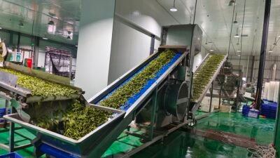 filter: 0; fileterIntensity: 0.0; filterMask: 0; brp_mask:0;
brp_del_th:null;
brp_del_sen:null;
module: photo;
hw-remosaic: false;
touch: (-1.0, -1.0);
sceneMode: 2621440;
cct_value: 6166;
AI_Scene: (-1, -1);
aec_lux: 505.0;
aec_lux_index: 273;
albedo:  ;
confidence:  ;
motionLevel: 0;
weatherinfo: null;
temperature: 41;